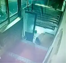 Cami'den Ayakkabı Hırsızlığı: Suçlu Bir Köpek!