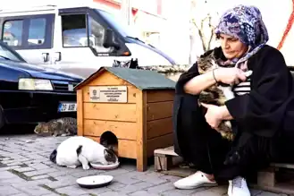 Denizli Başkanı'ndan Sokak Hayvanlarına Destek