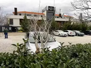 Denizli'de Fırtına: Ağaçlar Devrildi, Trafik Aksadı