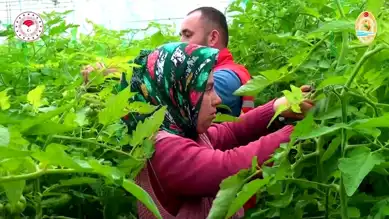 Denizli'de Tarıma 1,24 Milyar TL Destek
