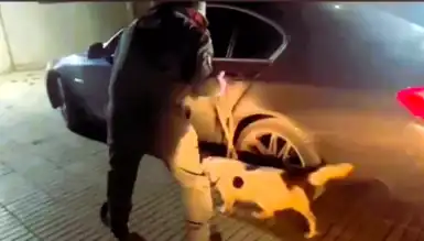 Büyük Uyuşturucu Operasyonu: Binlerce Doz Bonzai Ele Geçirildi