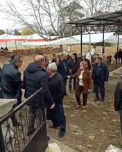 Kuraklık Tehlikesine Karşı Yağmur Duası