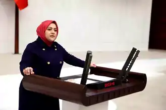 Denizli'nin Ulaşım Sorunları TBMM'de
