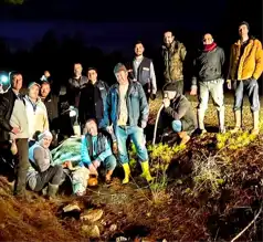Çal'da Kayıp Düve 4 Gün Sonra Bulundu, Kesildi