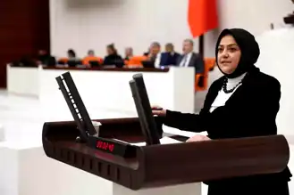 TÜBİTAK'ın Reddettiği Projeler Yurt Dışında Ödüllendirildi