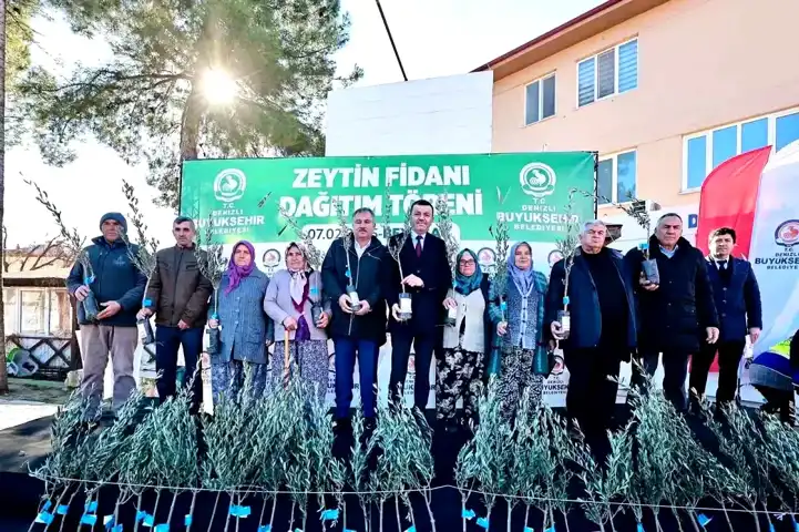 Denizli'de 46 Bin Zeytin Fidanı Dağıtıldı