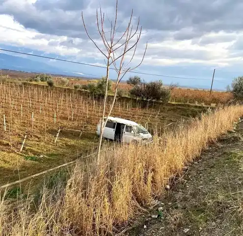 Denizli Buldan'da Panelvan Kazası: Üzüm Bağına Uçtu!