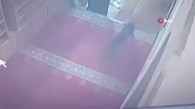 Köpek, Camiden Ayakkabı Çaldı!