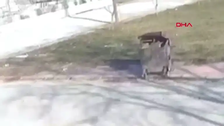 Çöp Konteynerinde Bulunan Köpek İçin Suç Duyurusu